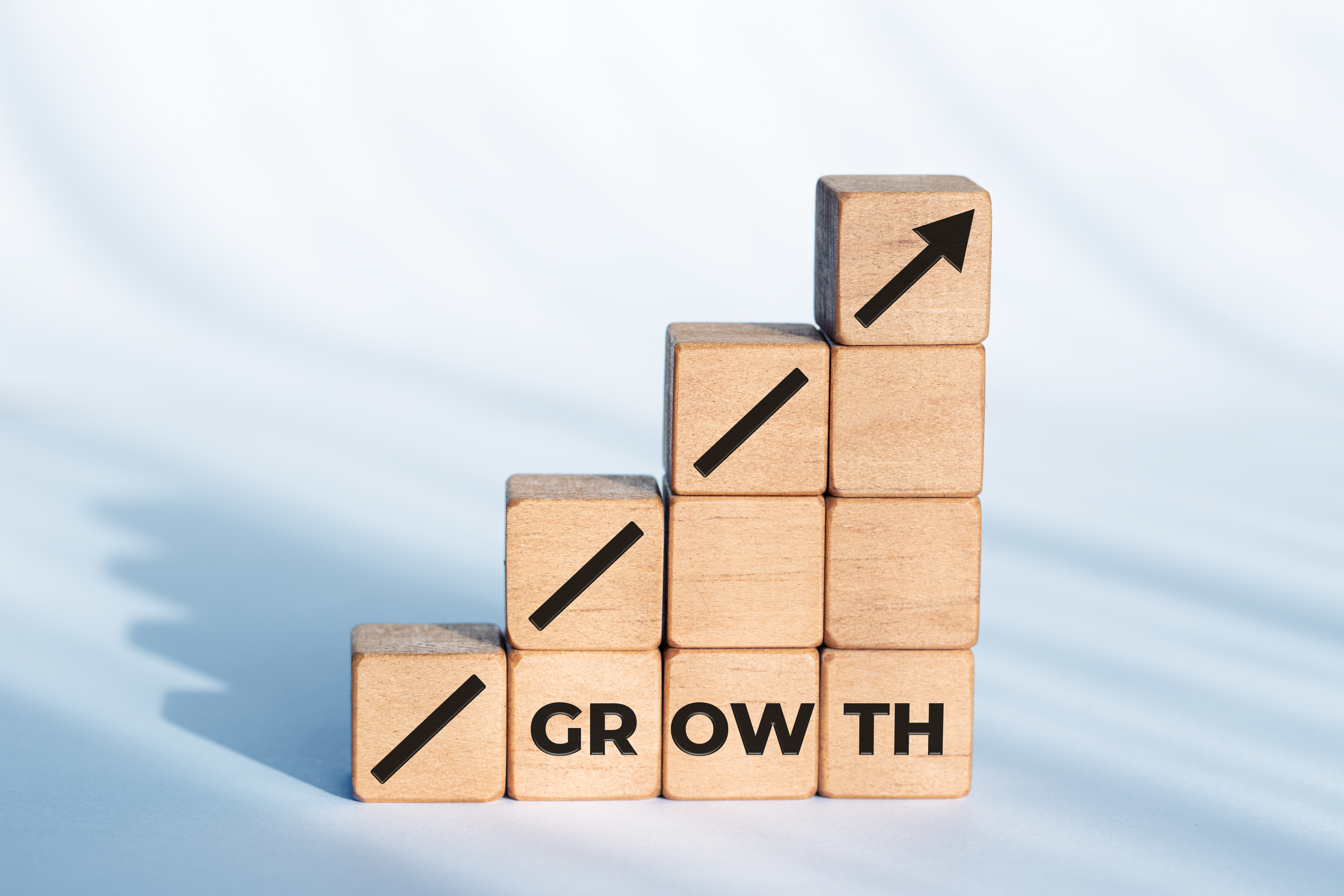 Module 7 - Business Growth Strategies